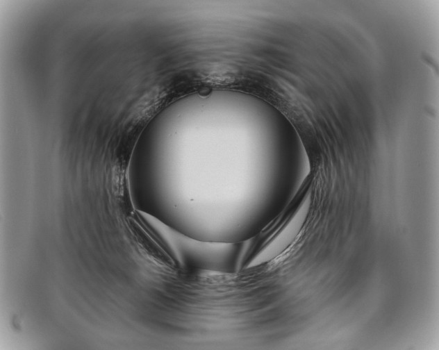 X0000098030180200804111331