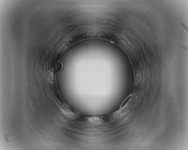 X0000098030183200804111331