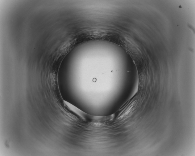 X0000098030184200804111331