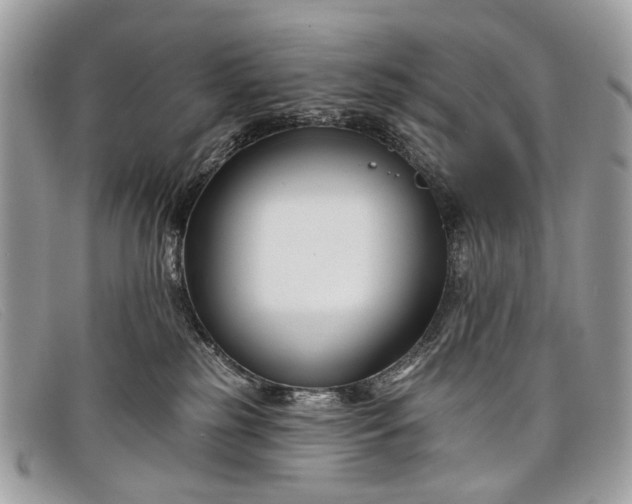 X0000098030185200804111331