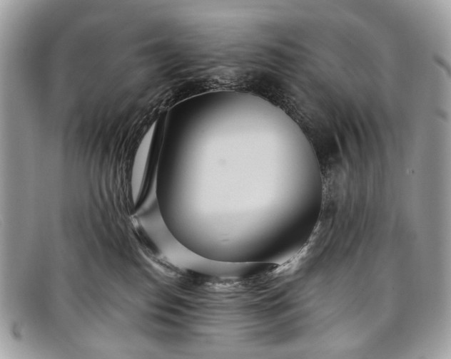 X0000098030186200804111331