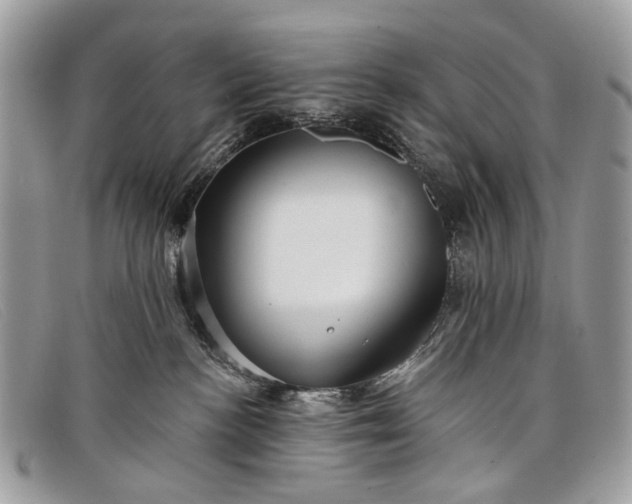 X0000098030188200804111331