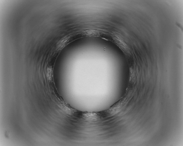 X0000098030189200804111331