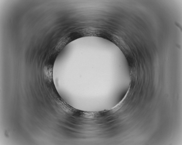 X0000098030190200804111331