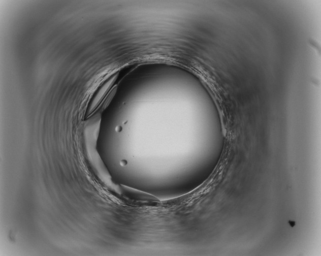 X0000098030193200804111330