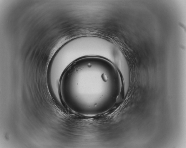 X0000098030195200804111330