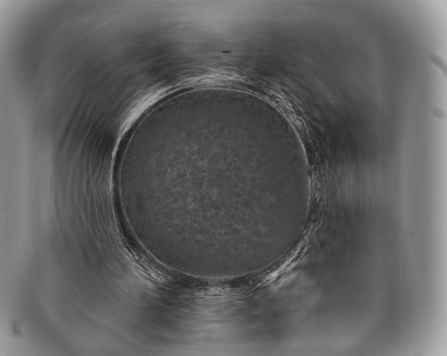 X0000098030196200804111330