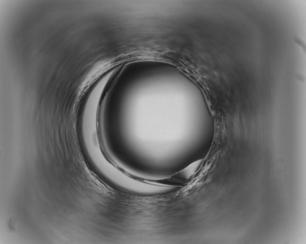 X0000098030197200804111330