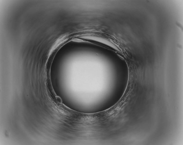 X0000098030198200804111330