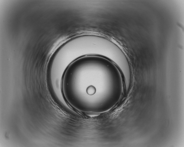 X0000098030199200804111330