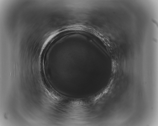 X0000098030200200804111330