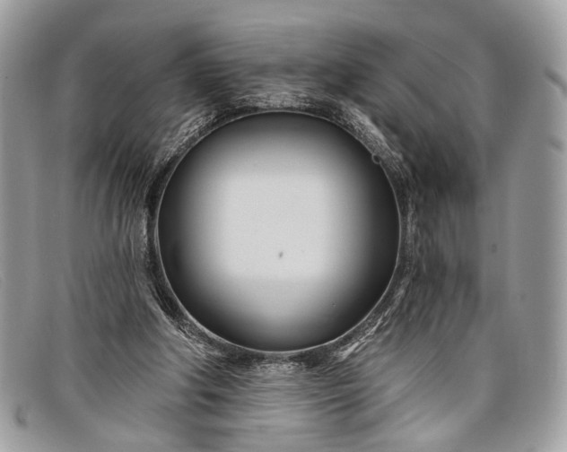 X0000098030202200804111330