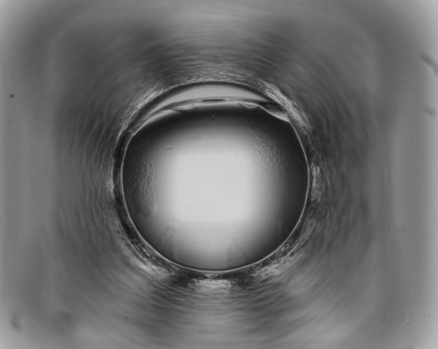 X0000098030203200804111330