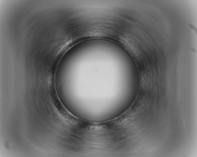 X0000098030208200804111330