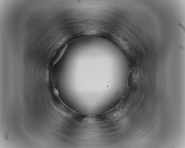 X0000098030211200804111330