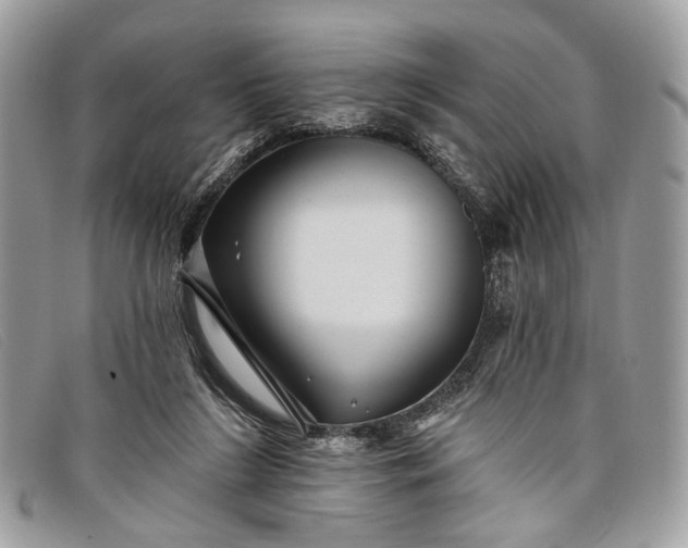 X0000098030212200804111330