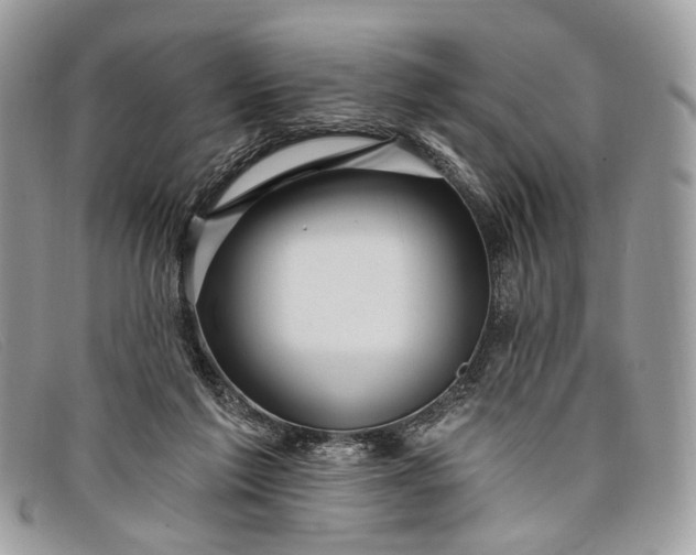 X0000098030213200804111330