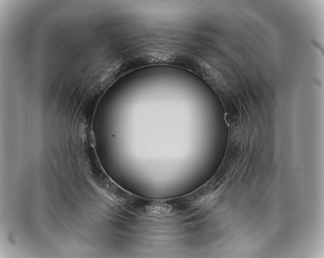 X0000098030215200804111330