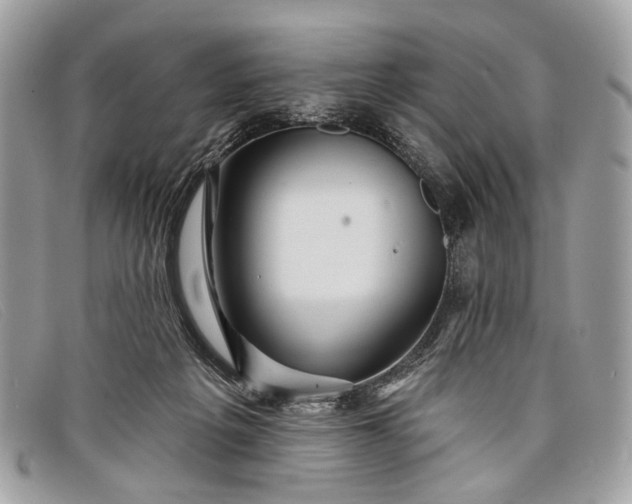 X0000098030217200804111330