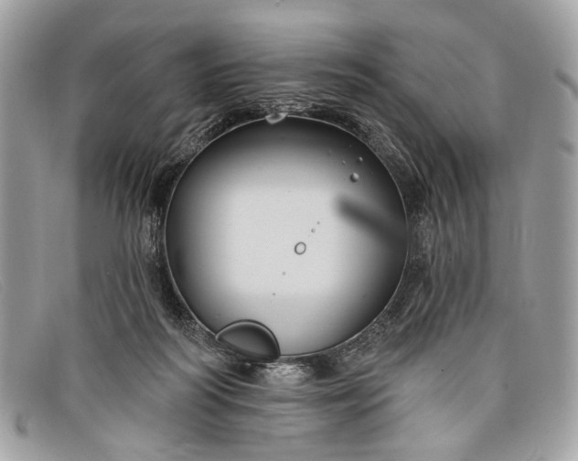 X0000098030218200804111330