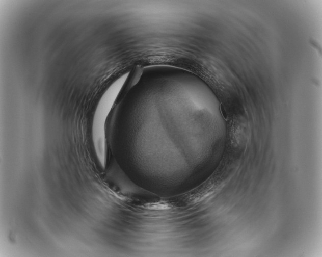 X0000098030219200804111330