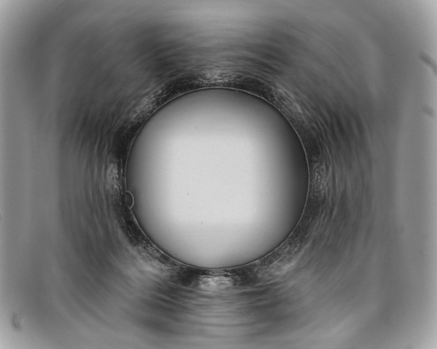 X0000098030220200804111330