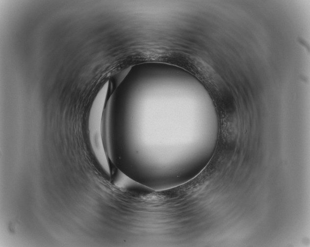 X0000098030221200804111330