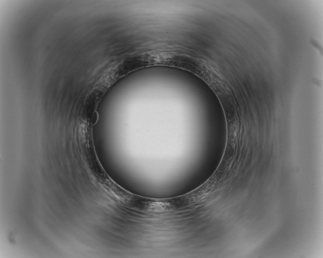 X0000098030222200804111330