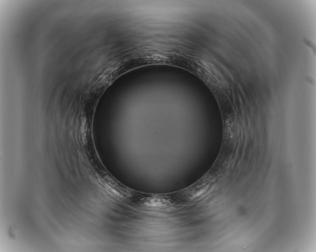 X0000098030223200804111330