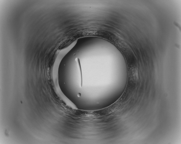 X0000098030224200804111330