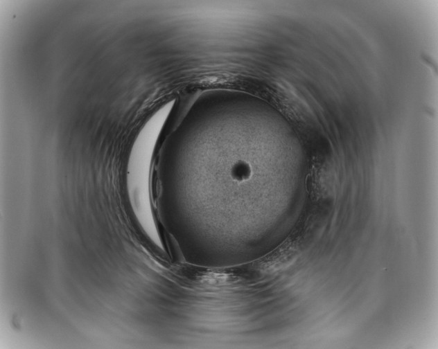 X0000098030227200804111330