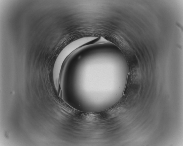 X0000098030229200804111330