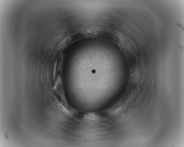 X0000098030231200804111330