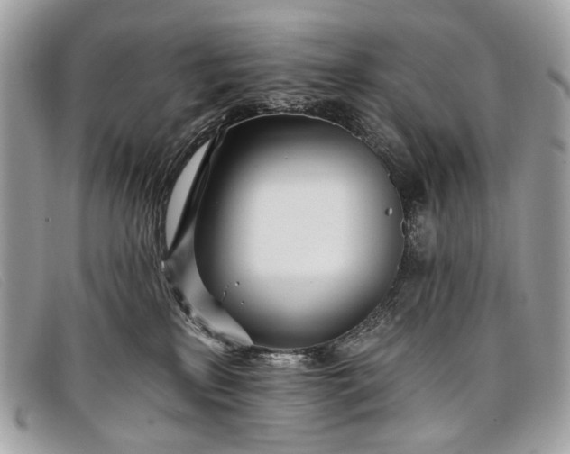 X0000098030233200804111329