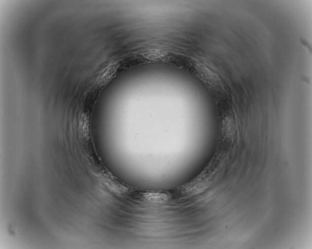 X0000098030234200804111329