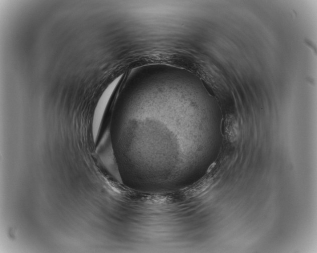 X0000098030235200804111329