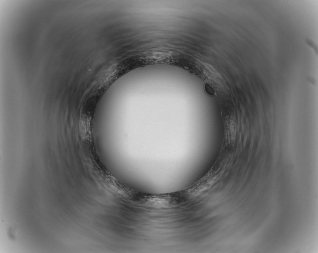 X0000098030236200804111329