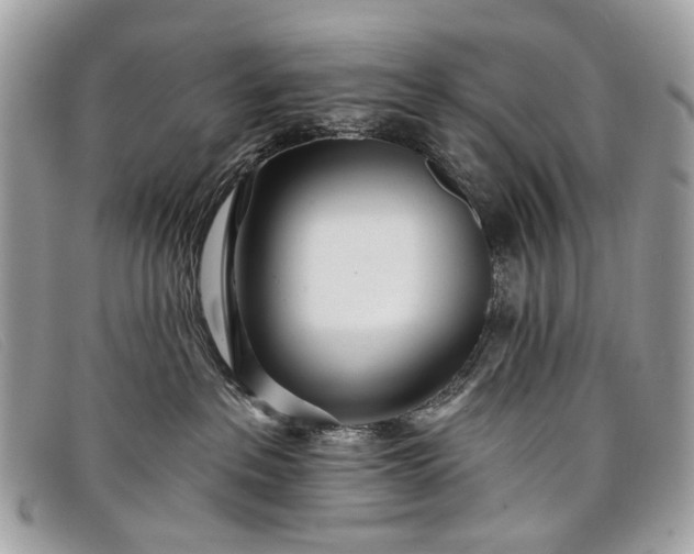 X0000098030237200804111329