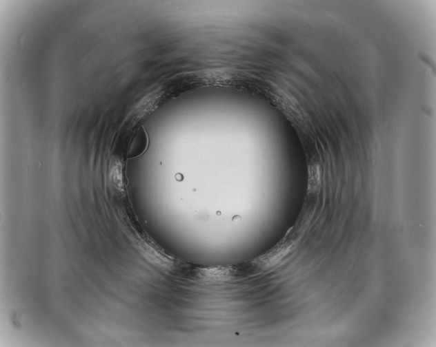 X0000098030238200804111329