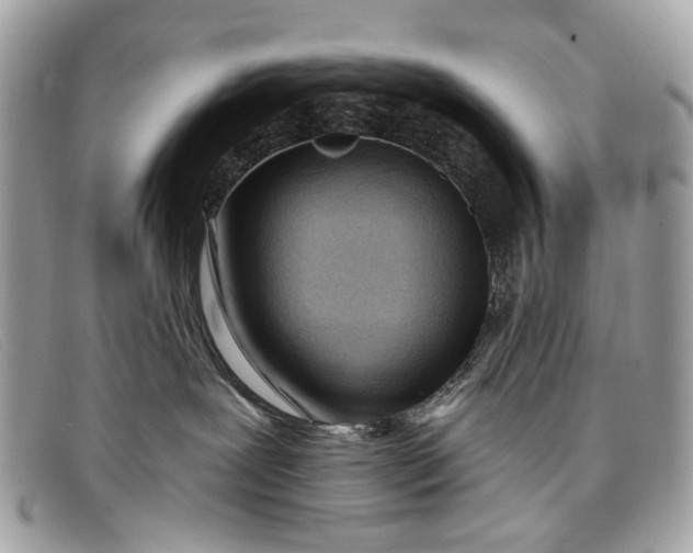 X0000098030239200804111329