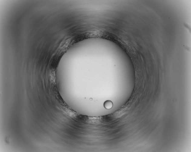 X0000098030240200804111329