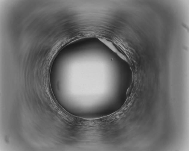 X0000098030241200804111329