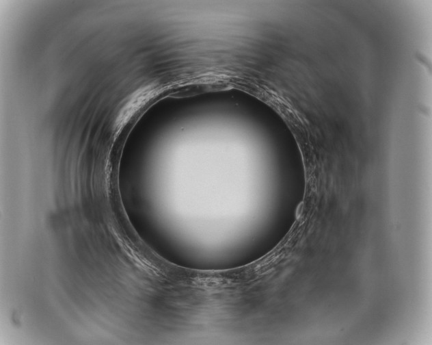 X0000098030242200804111329