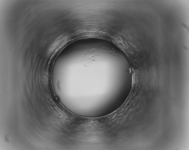 X0000098030243200804111329