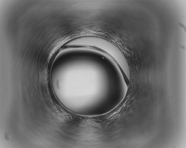 X0000098030244200804111329