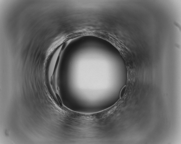 X0000098030245200804111329