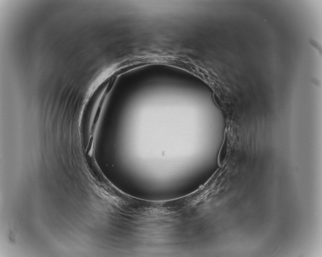 X0000098030246200804111329