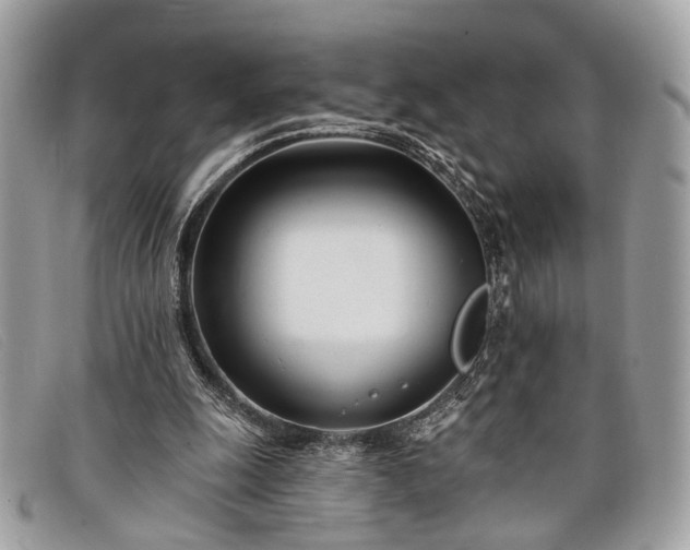 X0000098030247200804111329