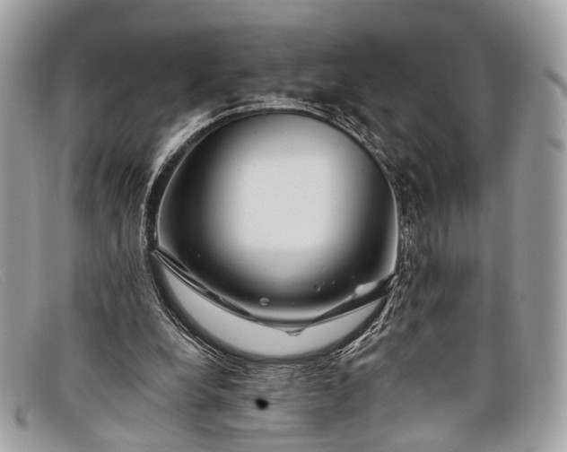 X0000098030248200804111329