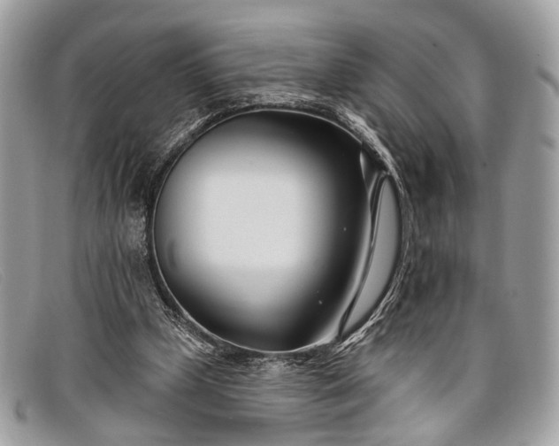 X0000098030249200804111329